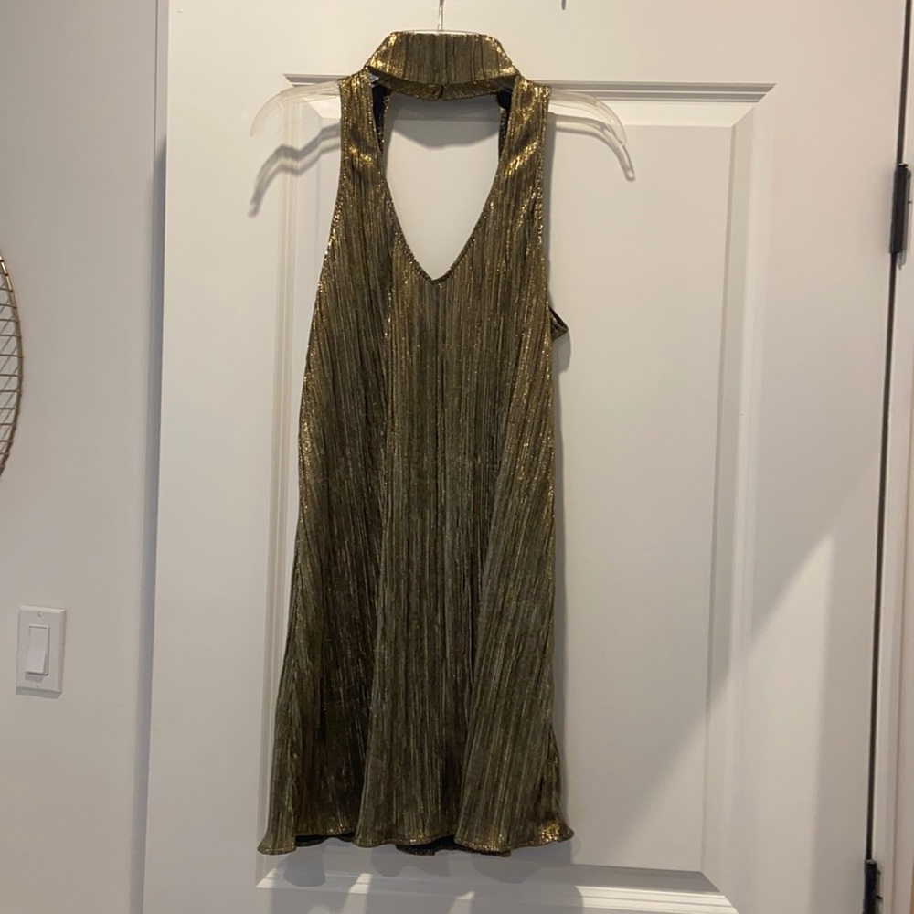 Show me your mumu mini dress